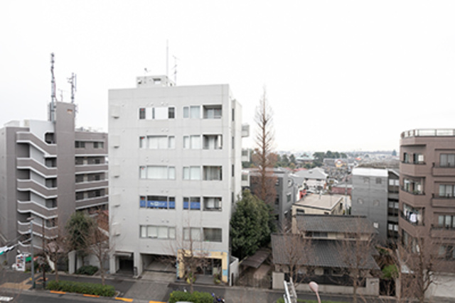 カーサクロヤナギの展望