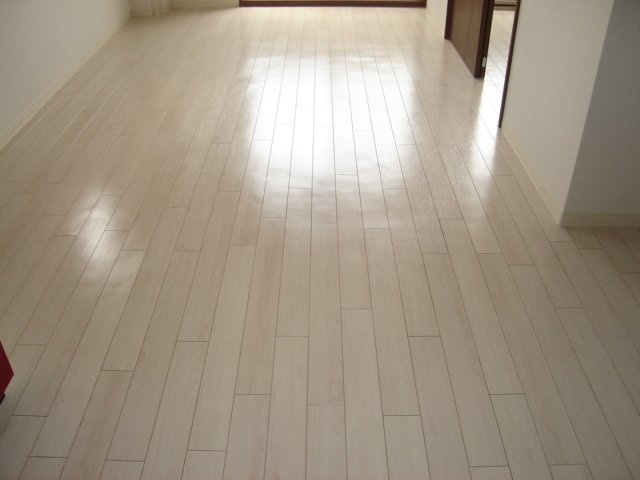 エスポワール祇園A・Bの内装|廊下