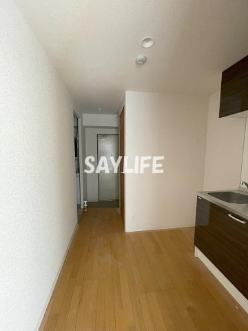 ヴィラナリー放出のその他