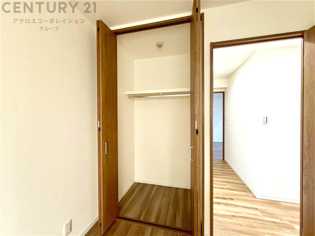 衣類やアクセサリー、小物類の収納が便利で整理整頓がしやすく、部屋の美観を保ちつつ、スペースを最大限に活用できます。衣服のしわやダメージを防ぎ、長持ちさせることができます。