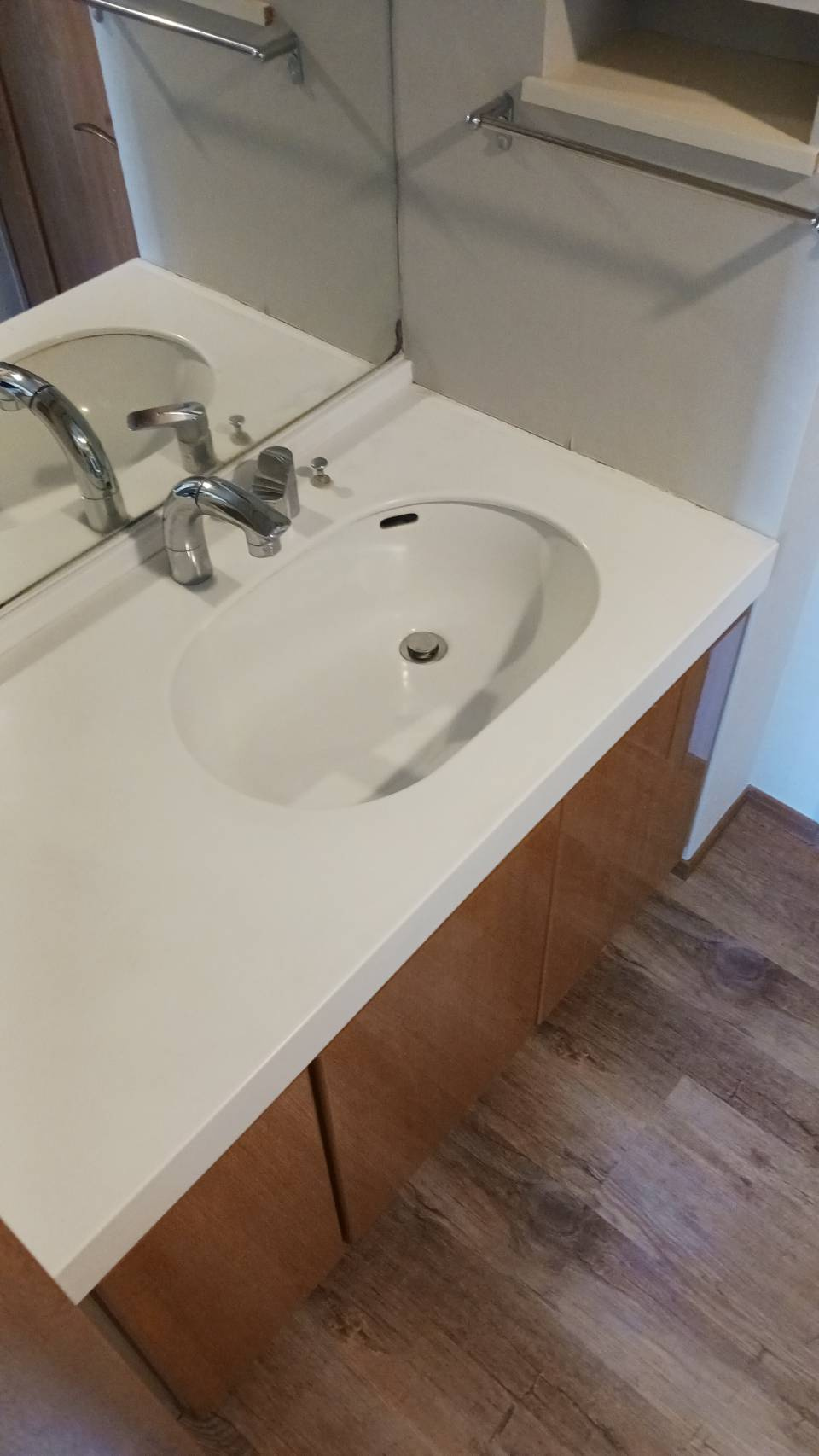 ライネスハイム西船橋の洗面所