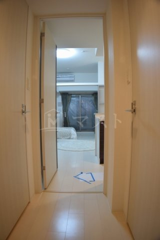 セレニテ本町グランデの玄関|同マンション他号室写真