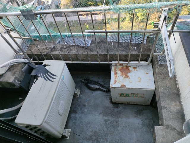 【バルコニー】 | ラ・クール東金