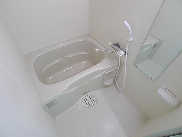 ライジングプレイス亀戸の浴室