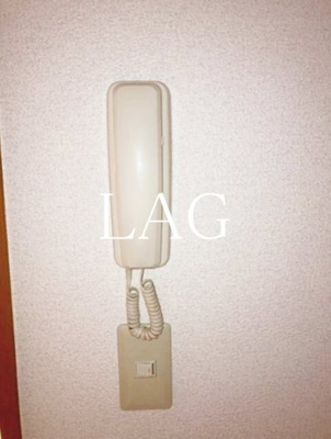 【セキュリティ】 | プレミールＷＡＤＡ | インターフォンです。