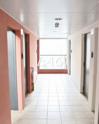 【その他】 | ブランシェ洗足