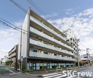 エストレージャス隨喜（ズイキ）の画像