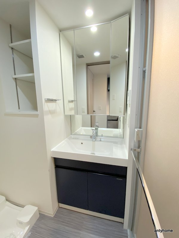 アーバネックス難波WEST 仲介手数料無料の洗面所