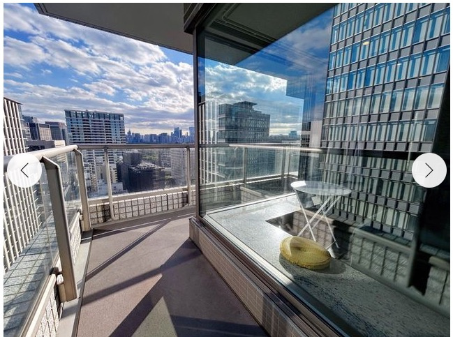 ★仲介手数料半額★TOKYO PARK TOWER（空室物件 L字型ワイドバルコニー開放感と採光良好）のその他