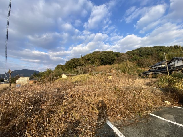 【周辺】 | 山鹿市杉