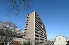 夙川グランドハイツの画像