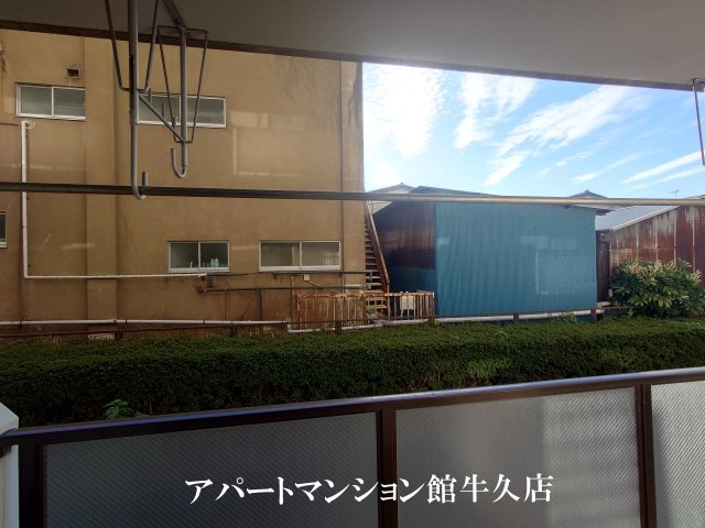 ロータスハウスの展望