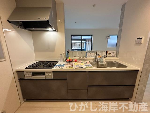 藤沢市辻堂東海岸2丁目　 新築戸建 　全2棟のキッチン|システムキッチン
