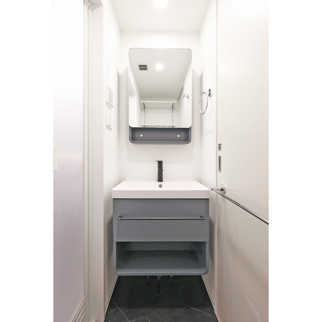 アドバンス江坂ラシュレの洗面所