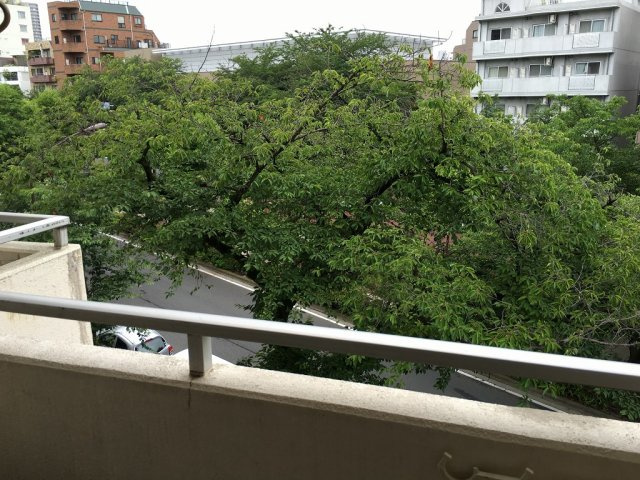 ユートピアチェリーの展望