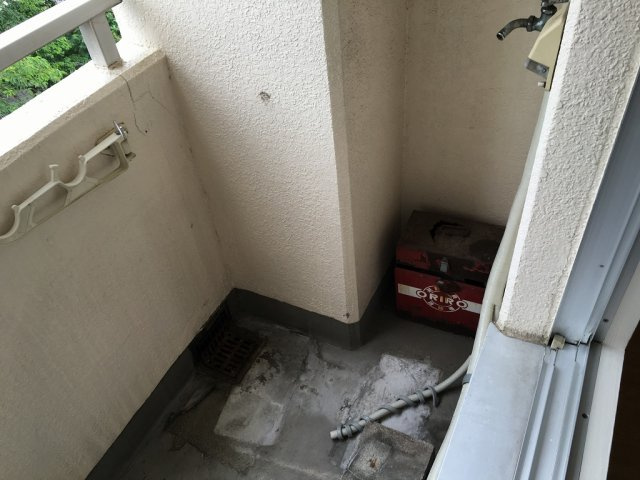 ユートピアチェリーのその他