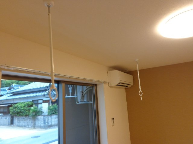 パルジェプランドールのその他|その他