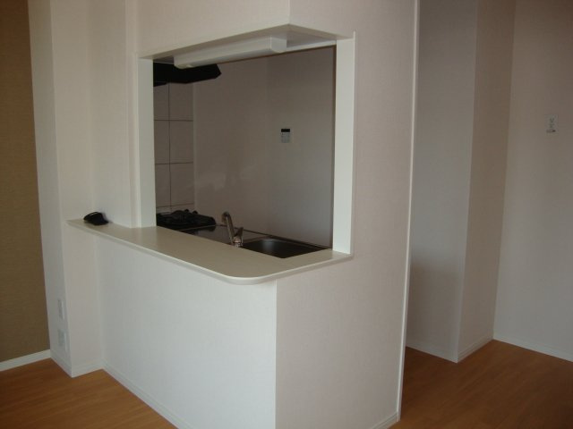 サウスポイントのキッチン|カウンターキッチン