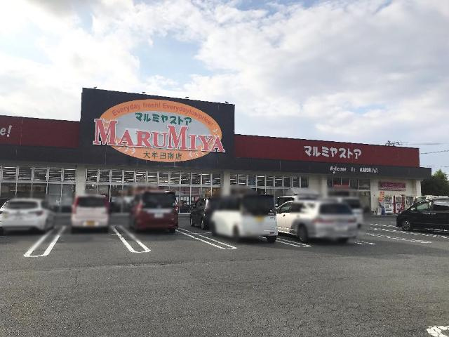 エクセレンスネオの周辺|マルミヤストア大牟田南店まで1,633ｍ