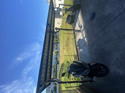 【その他】 | ミランダＥＡＲＴＨ