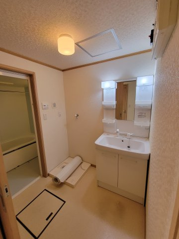 ビレッジ日蔭Nの洗面所