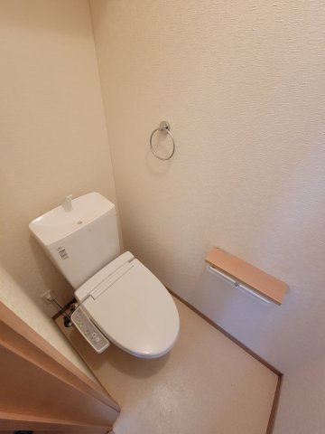 ビレッジ日蔭Nのトイレ