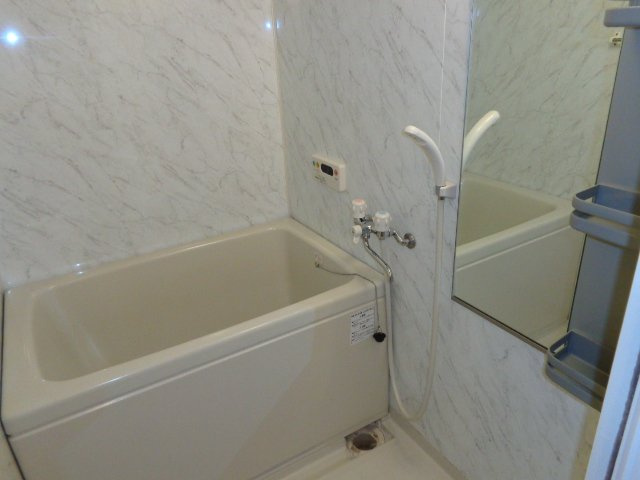 Ｈｙｄｅ　Ｐａｒｋ　ＮＹの浴室|バス