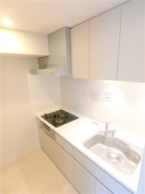 ドゥーエ西馬込の設備|3口ガスグリル付キッチン　余裕ある大きさのシステムキッチン