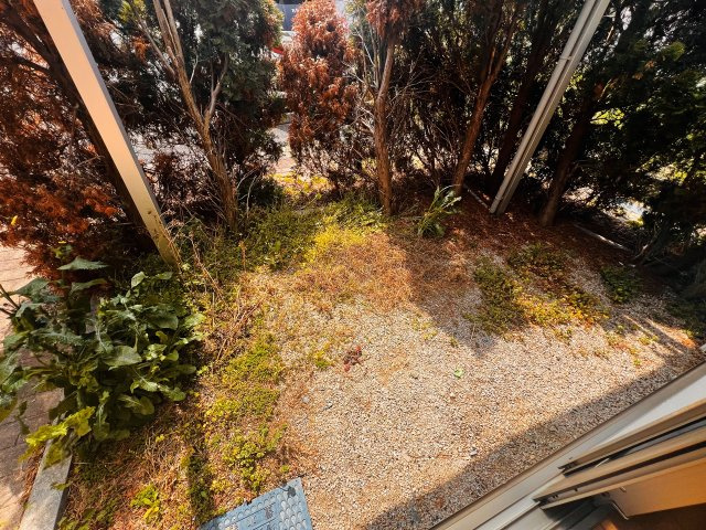 トゥインクルリトルスターの庭|草木があるので人目は気になりません。