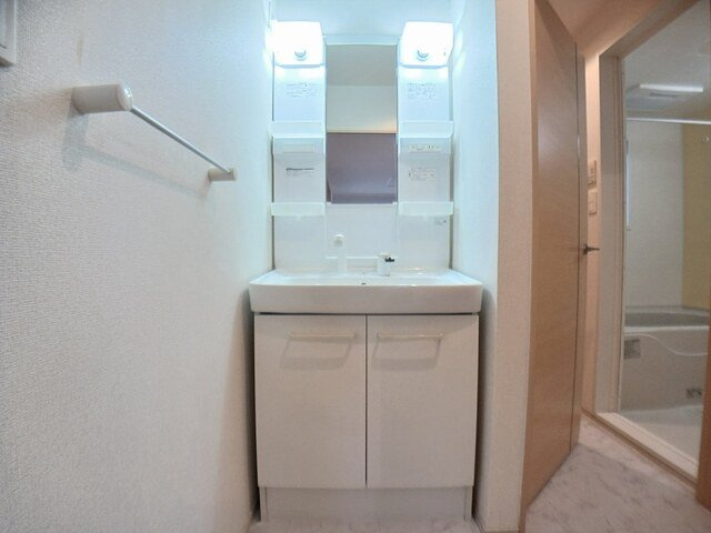 メゾン　フロージュⅡの洗面所