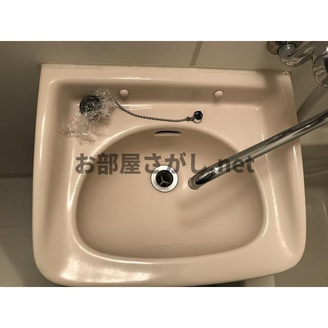 ８７ｈｏｕｓｅ０２の洗面所