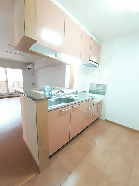 エレガントカーサB棟のキッチン