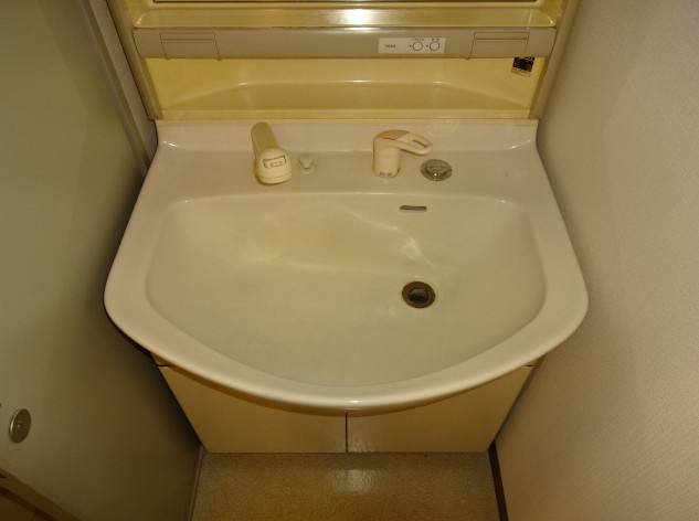 フォルジュ山田の洗面所