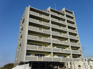 ウィルコート八木の画像