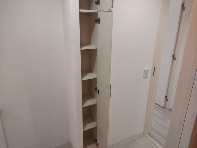 ネバーランド逆瀬川野上のその他|洗面収納