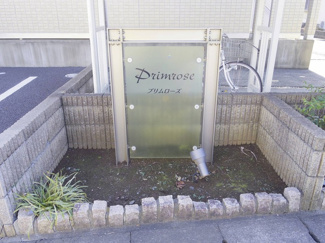 【その他】 | Primrose（プリムローズ）