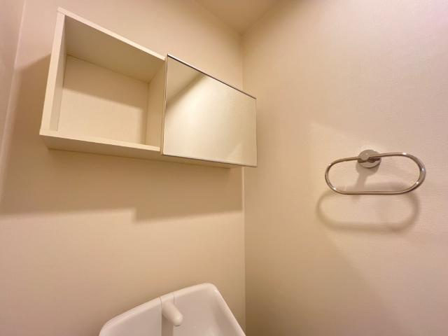 Bigseaのトイレ|ミラーキャビネット