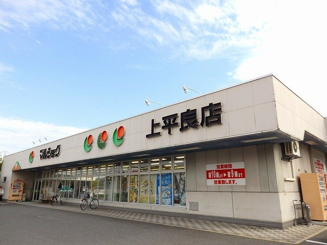 ルミエール伴丈木の周辺|マルショクまで100m