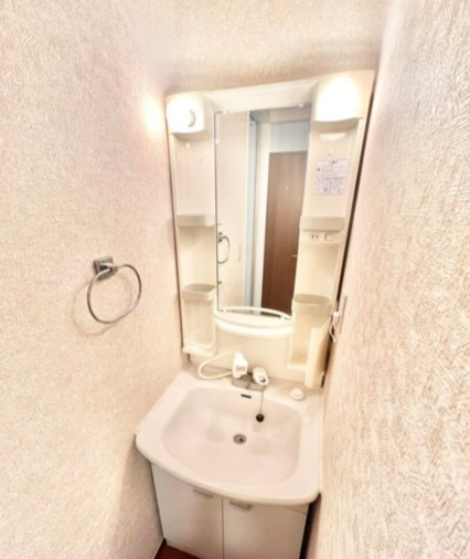 メゾン・ソレイユの洗面所