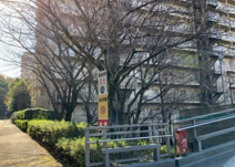 シーアイハイツ町田Ｆ棟の画像