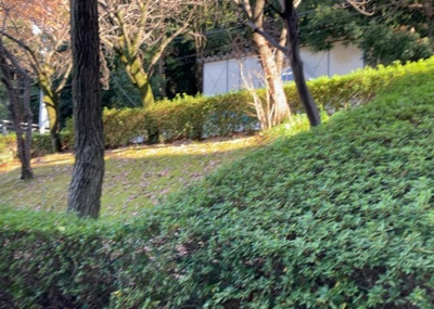 【庭】 | シーアイハイツ町田Ｆ棟 | 物件によっては、入居者が個人的に使用できる専用庭がついているものもあります。また、住宅の中にある土間の部分を庭と呼ぶこともあります。庭の用途は住む人によって変わり、それによってデザインもさまざまです。