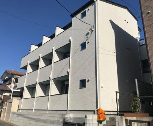 krasuco柏(クラスコカシワ)