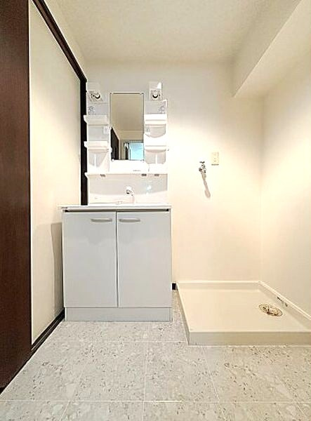 ウィスタリア星ヶ丘の洗面所