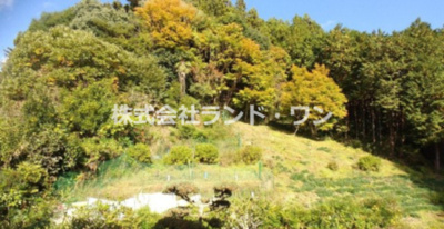【その他】 | 飯能市上直竹下分 | 裏山