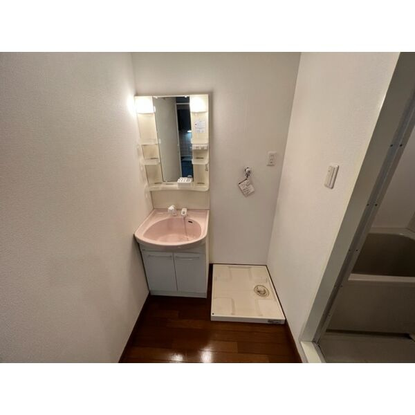 エクセルまつたにの洗面所