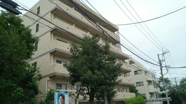 サリータ　ソプラ