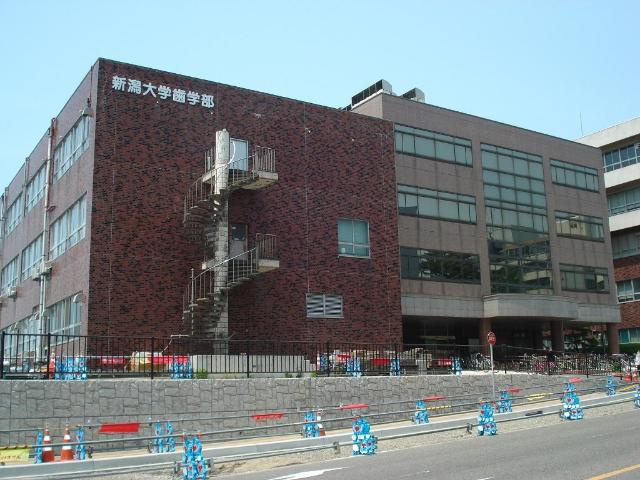 【周辺】 | サニーパレス | 国立新潟大学歯学部まで4,874ｍ