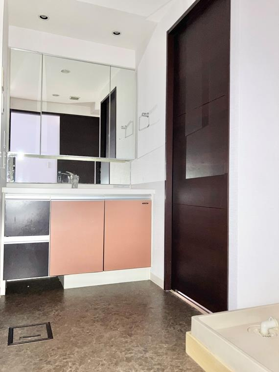 ライオンズマンション横濱元町キャナリシアの洗面所