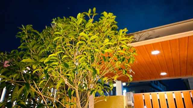 サステイナブルハウスのその他