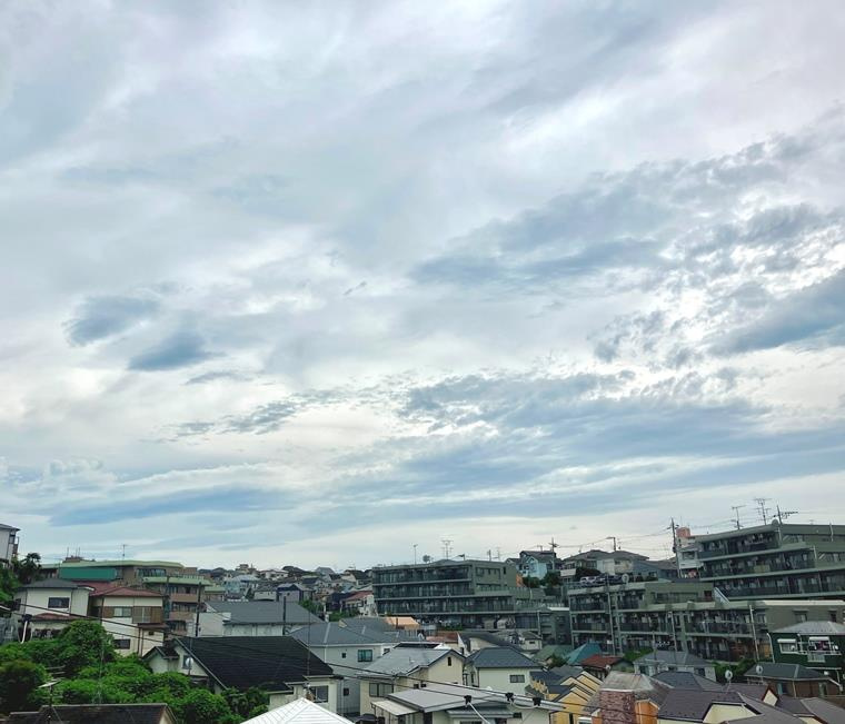 六角橋戸建の展望